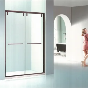 Glass Shower Door