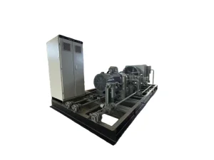 Skid Mounted High Efficiency Biogas Reciprocating Compressor Unit