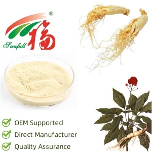 Pó de Extrato de Panax Ginseng de Alta Pureza