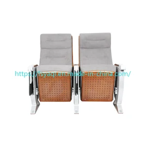 Public Hall Church School Conference Stadium Theatre Cinema Auditorium Public Seating (YA-L099B)