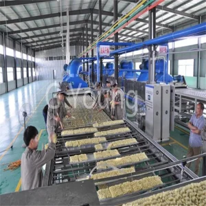 Linha de Produção de Noodles Instantâneos em Copo Máquina de Fazer Noodles Ramen
