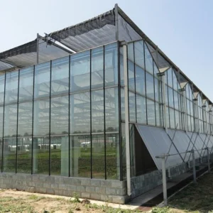 Glass Greenhouse