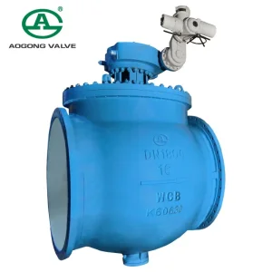 Pneumatic Control Valve