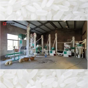 Equipo de procesamiento de arroz eficiente para molino de arroz automático avanzado