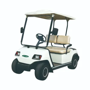 High-Performance Two-Passenger 4WD Golf Cart