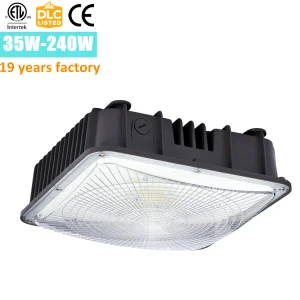 Canopy Light