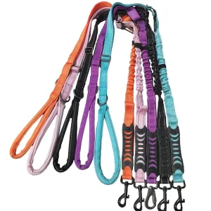 Bungee Training Leash