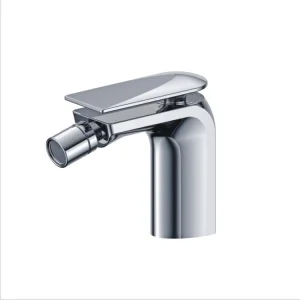 Bidet Faucet