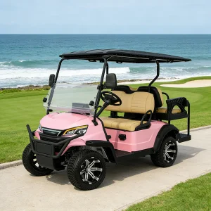WOLAN Manufacturer Wholesale 4 Seater Passenger Golf Cart with High Roof and Folding Seats for Park
