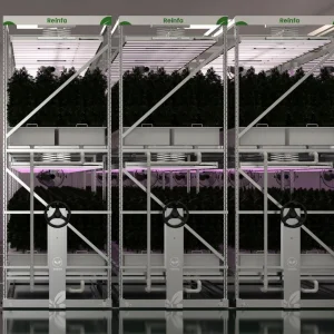 Aeroponic Rack System