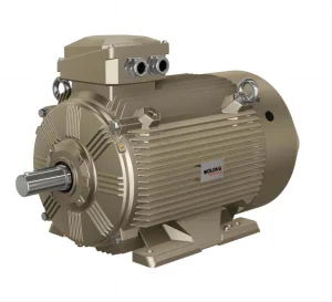 China WEPM Frequency Control Permanent Magnet Synchronous Motor