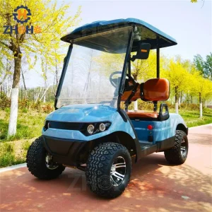 Small 2 Seater Gasoline Golf Cart US Legal