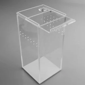 Custom Jumping Spider Enclosure Clear House Shape