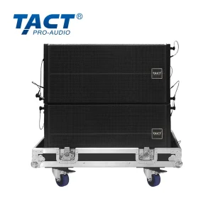 OEM Double 10 inch Line array speakers