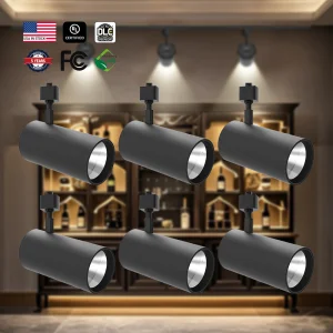 Santa Fe Ceiling Tracklight