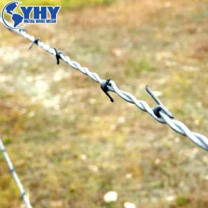 High Tensile Strength Sharp Barbed Wire for Fence Defense