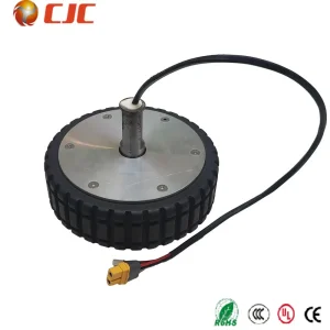 Hub Motor