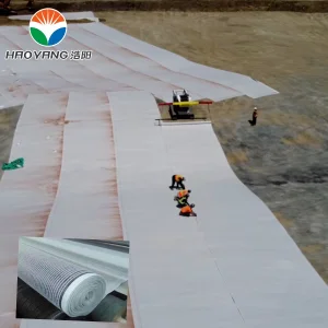 Geosynthetic Clay Layer