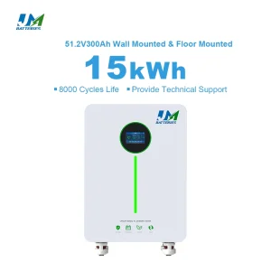 Jm 51.2V 300ah Lithium Ion Battery15kwh LiFePO4 Battery Solar Home Energy System