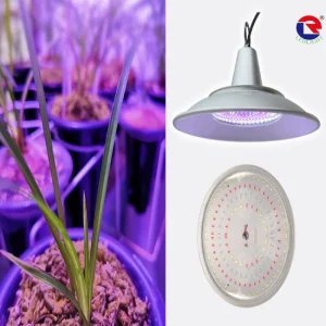 Orchid Supplemental Light
