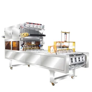 Df-95 Fruits Induction Automatic Continuous Filling and Sealing Machine