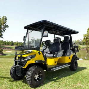 Lifted 4 Wheel Disc Brake Golf Cart 60V 72V Lithium Battery Electric Golf Cart Buggy Hunting Cart with CE
