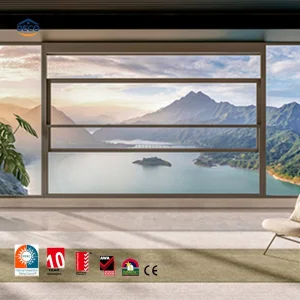 Insulated Glass Windows