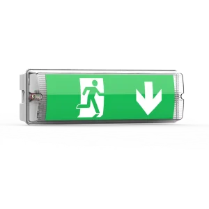 Automatically Waterproof Wall And Ceiling Mounted Maintained/non-maintained Emergency Bulkhead Light