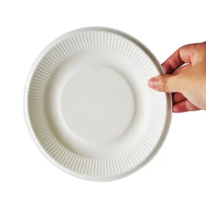 China Manufacturer 7Inch Disposable Sugarcane Fiber &amp; Bagasse Paper Plates With Lid White Compost Home Certified Warmpack Brand
