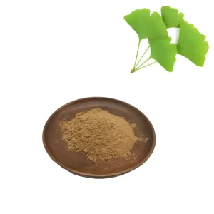 Best Pure Ginkgo Biloba Extract