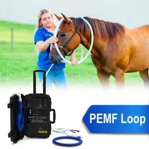 Horse Therapy Device