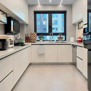 Non-Toxic Modern Xh Custom Closet Systems with Shelves