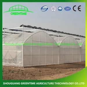 Cheap Multi-Span/Single Span Commercial Tunnel Plastic Film Glass Polycarbonate Farm Agriculture Greenhouse with Seedbed Hydroponic for Tomato Strawberry