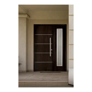 Modern Steel Security Door