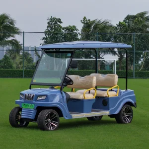 Carrito Golf Macpherson