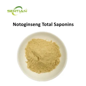 Natural Herbal Extract Sanchi Powder