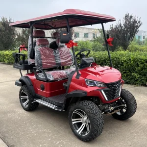 CE Approved 4 Seat Luxurious Beach off Road 14 Aluminum Wheel 72V Lithium Battery Solar Powered Golf Carts