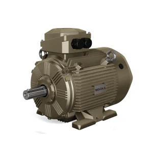 Wolong WE3 series motor