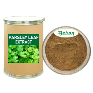 Parsley Leaf Extract Powder