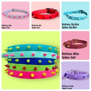 Durable Stylish Customizable Spiked Dog Collar