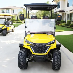 Custom Chinese Wholesale Seater Two Person 4 Seats Buggy Golf Cart Carts Electric Lithium Battery Mini Golf Cart