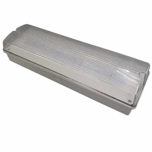 Exquisite Body IP65 Emergency LED Light with High-End Quality for Promotion