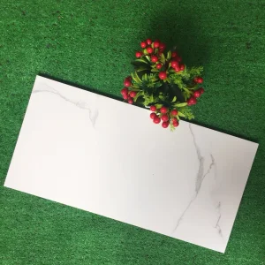 Buliding Material Ceramic Wall Tile 3D Inkjet Digital Printing (300*600mm)