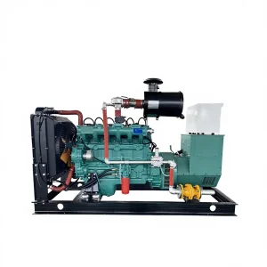 50kW CNG/LNG/LPG/Biogas Auto Start Water Cooled Gas Turbine Generator Set 62.5kVA 50/60Hz Biomass Generator For Livestock Farms