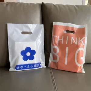 Custom Luxury Gift Biodegradable Reusable Clothing LDPE Plastic Bag Shopping Bags Logo Printed