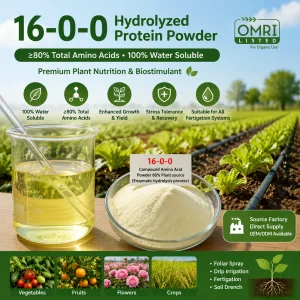 Amino Acid Powder 80% Soy Protein
