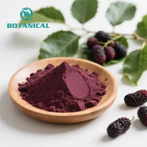ODM Organic Mulberry Powder Extract Supplier, Factory