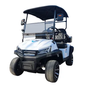 Customize Electric Buggy