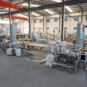 Anti-Explosion Carton Erector