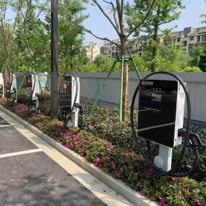 Professional Screen Station